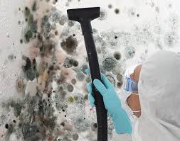 Best Mold Prevention Services  in Ridgemark, CA